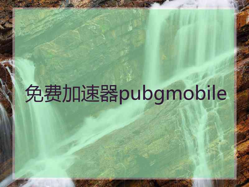 免费加速器pubgmobile