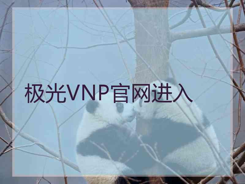 极光VNP官网进入