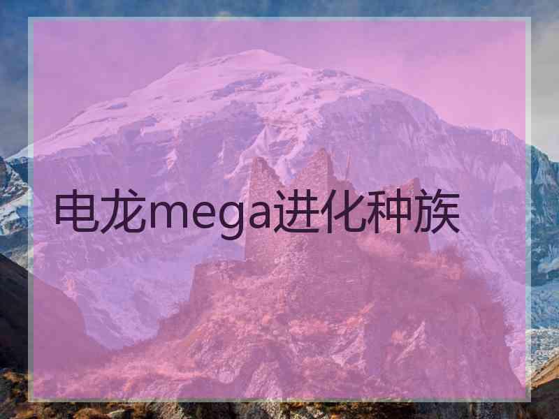 电龙mega进化种族