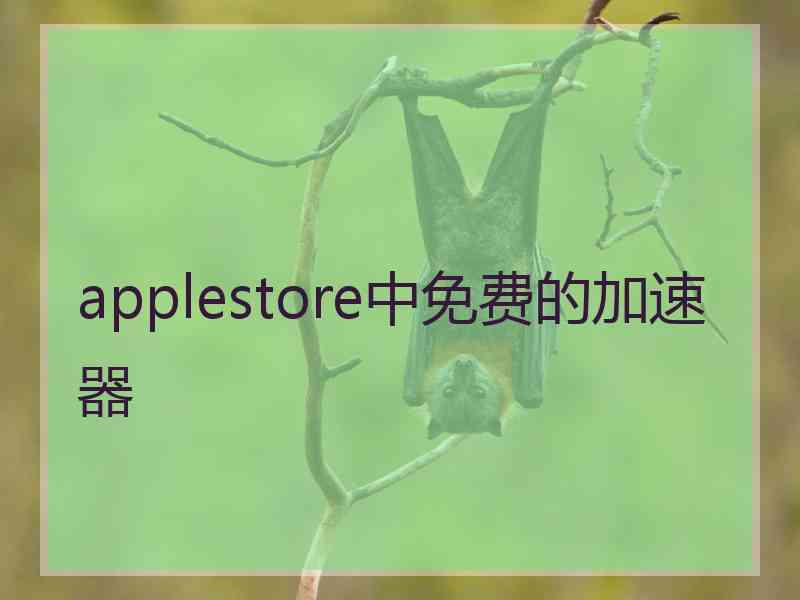 applestore中免费的加速器