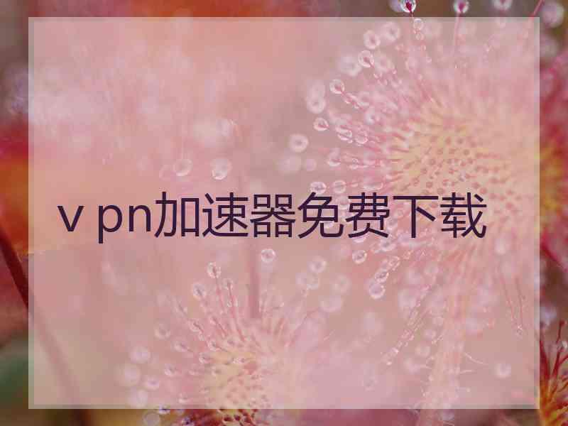 ⅴpn加速器免费下载