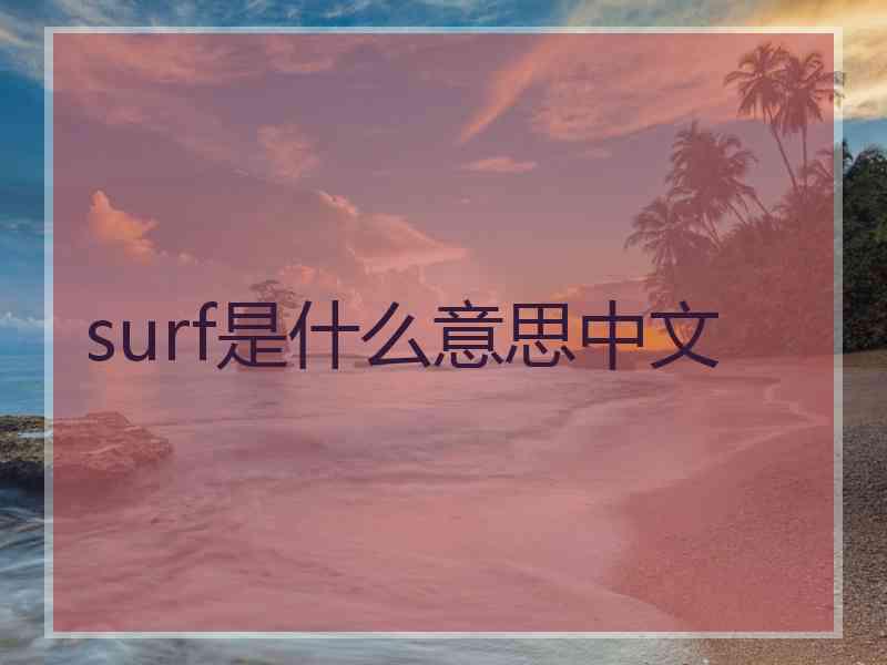 surf是什么意思中文