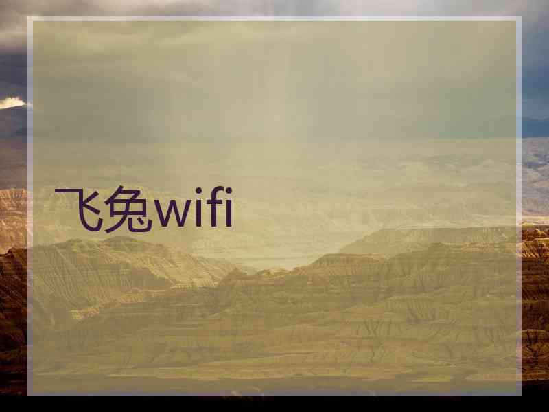 飞兔wifi