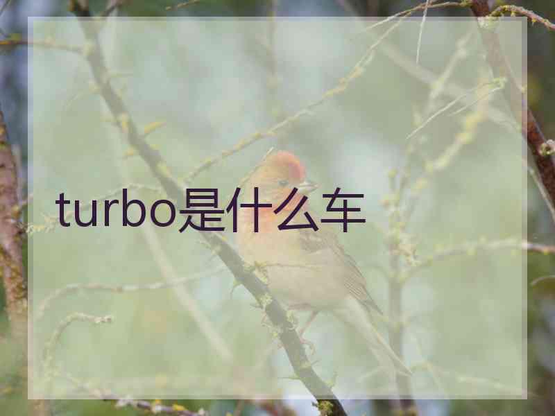 turbo是什么车