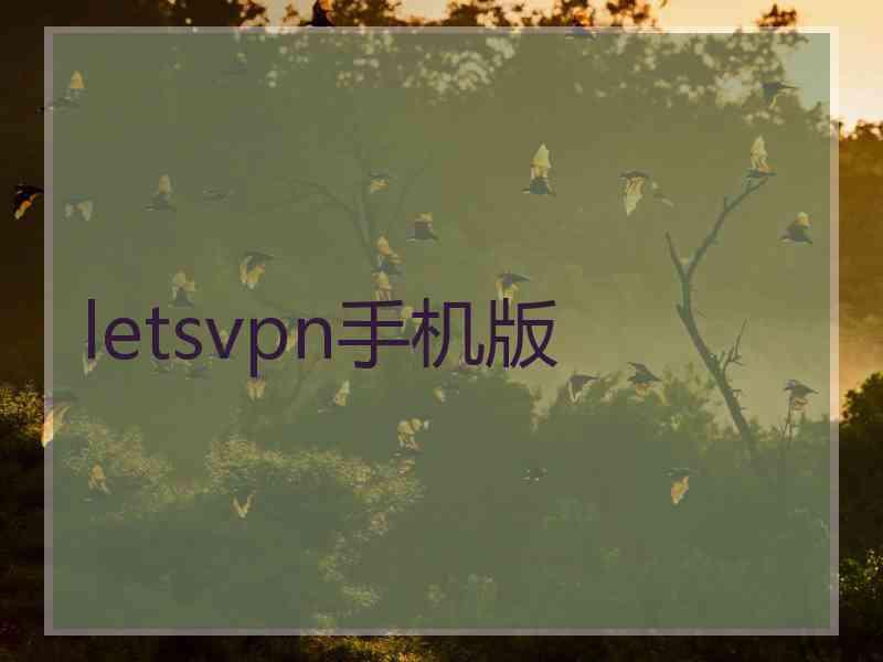 letsvpn手机版