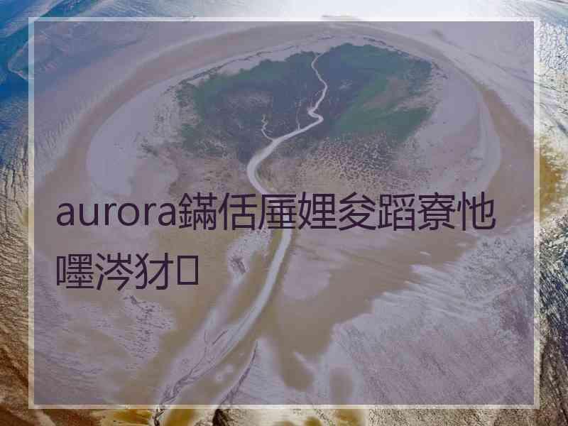 aurora鏋佸厜娌夋蹈寮忚嚜涔犲