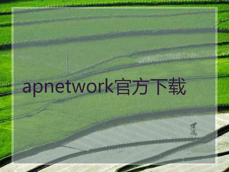 apnetwork官方下载