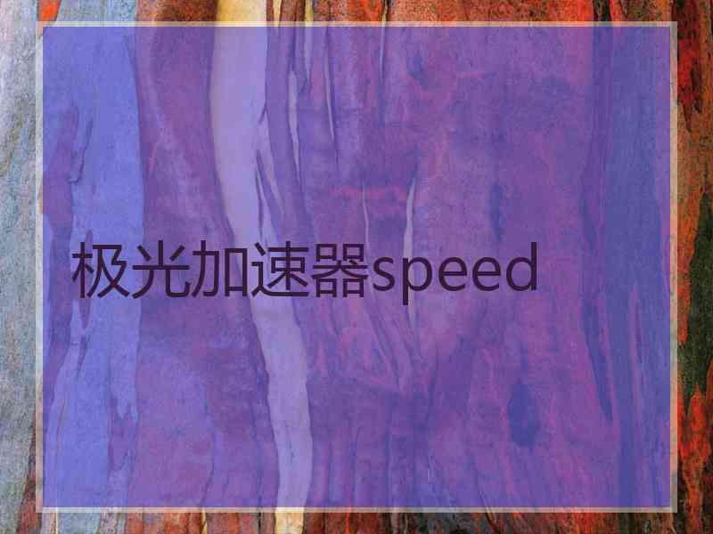 极光加速器speed