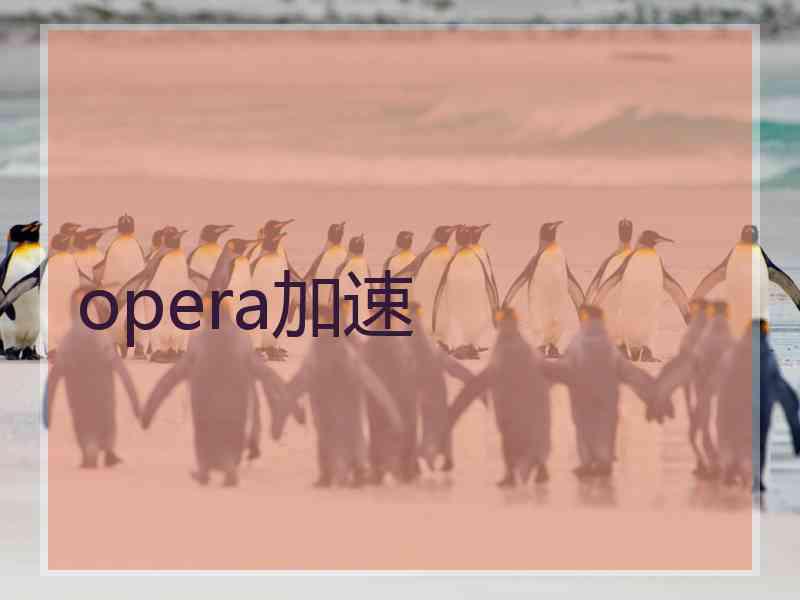 opera加速