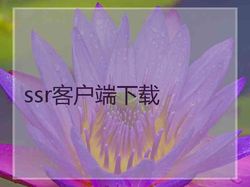 ssr客户端下载