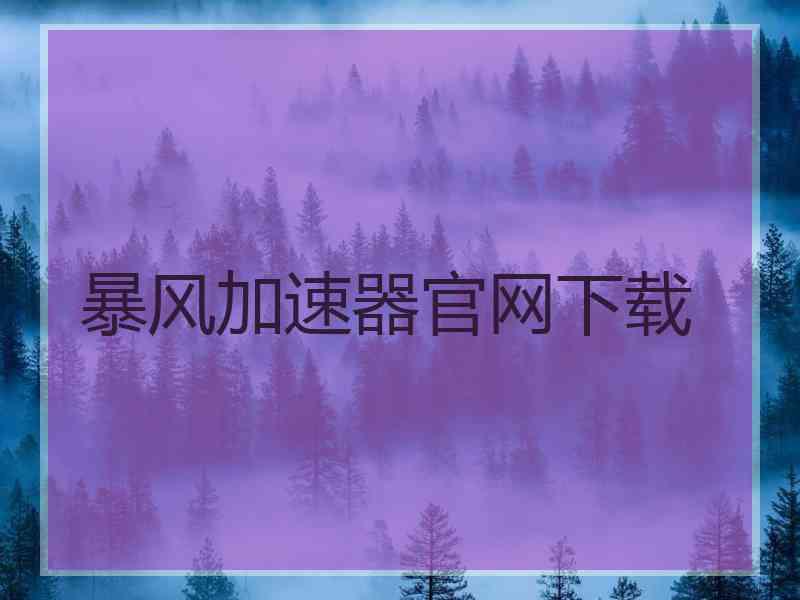 暴风加速器官网下载