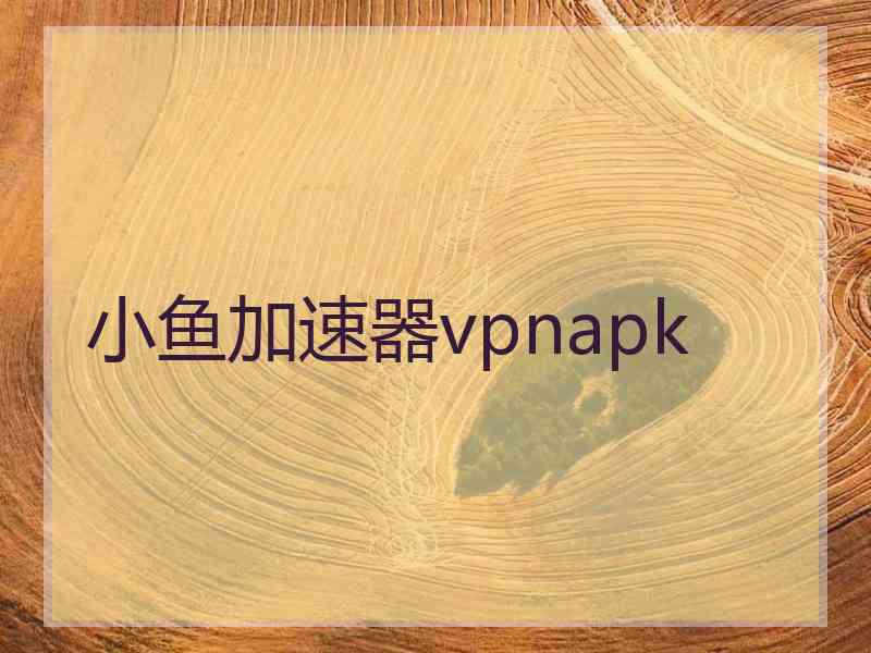 小鱼加速器vpnapk