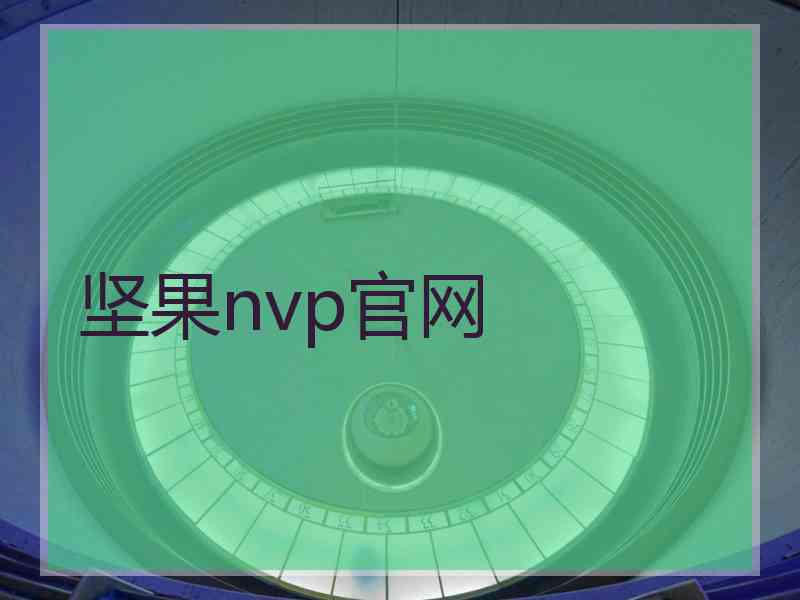 坚果nvp官网