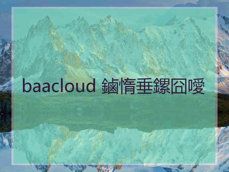 baacloud 鏀惰垂鏍囧噯