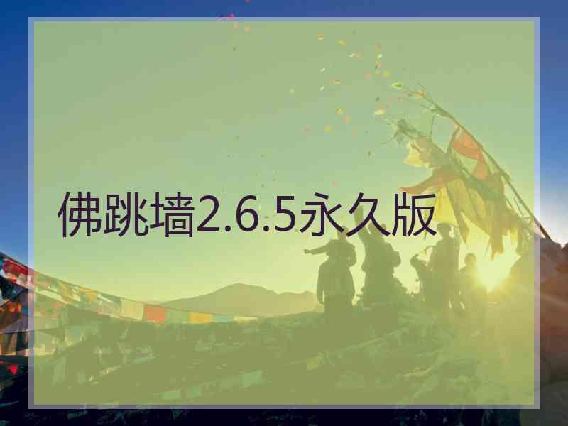 佛跳墙2.6.5永久版