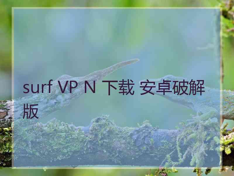 surf VP N 下载 安卓破解版