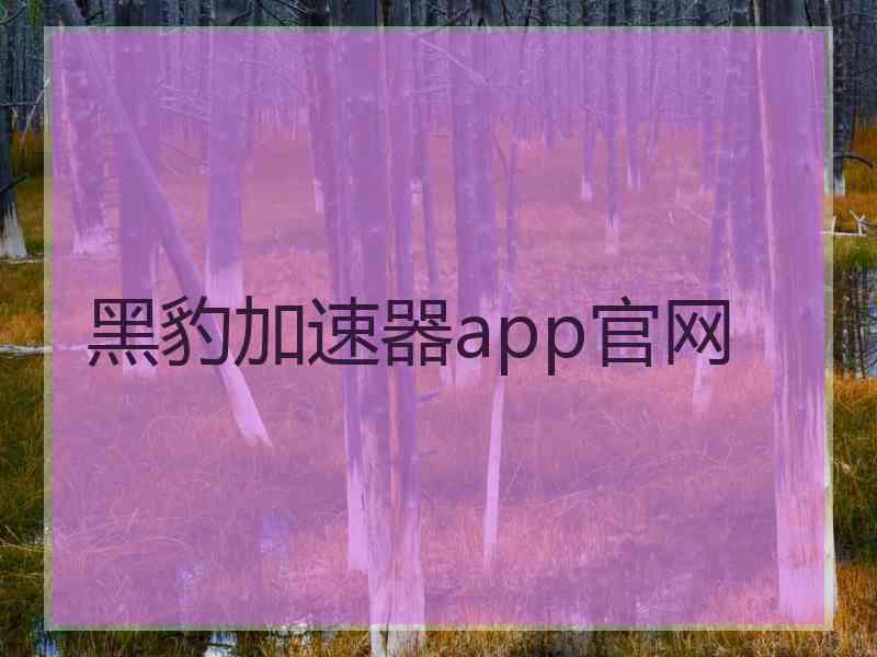 黑豹加速器app官网