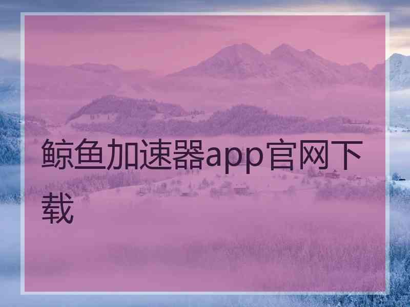 鲸鱼加速器app官网下载