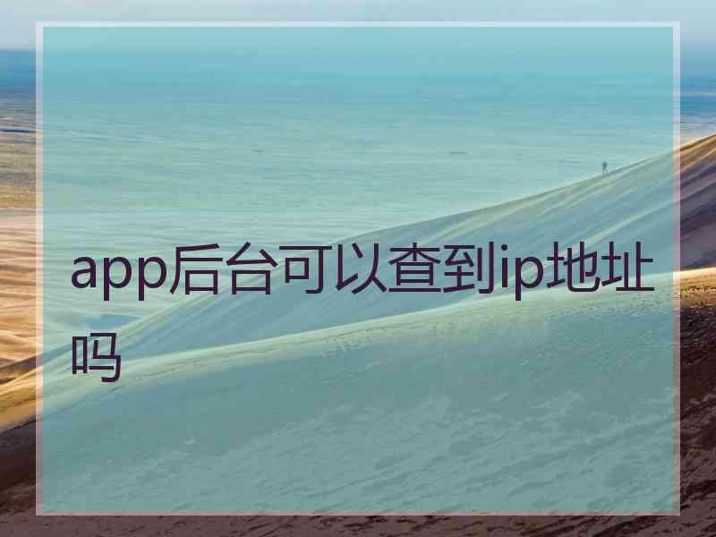 app后台可以查到ip地址吗