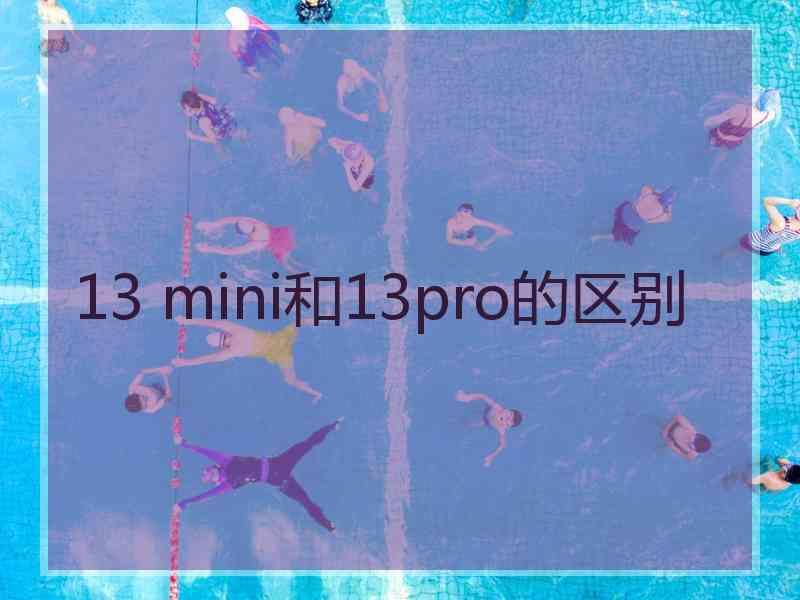 13 mini和13pro的区别