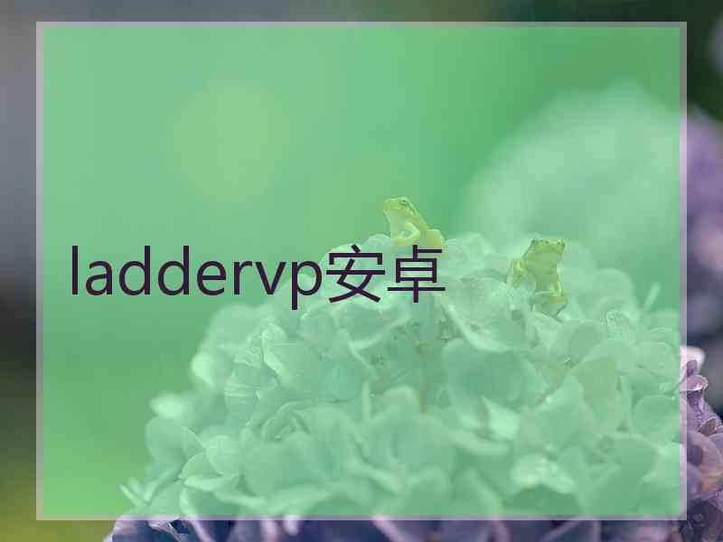 laddervp安卓