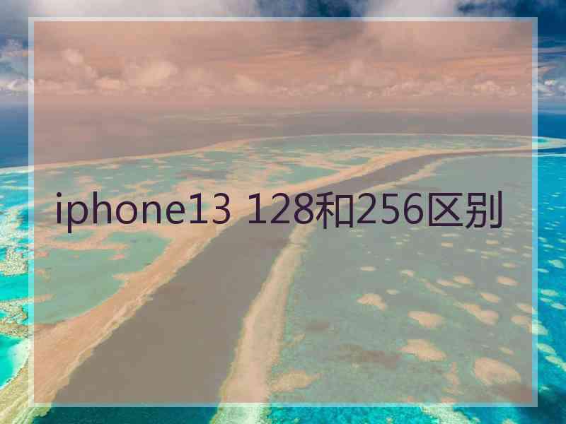 iphone13 128和256区别