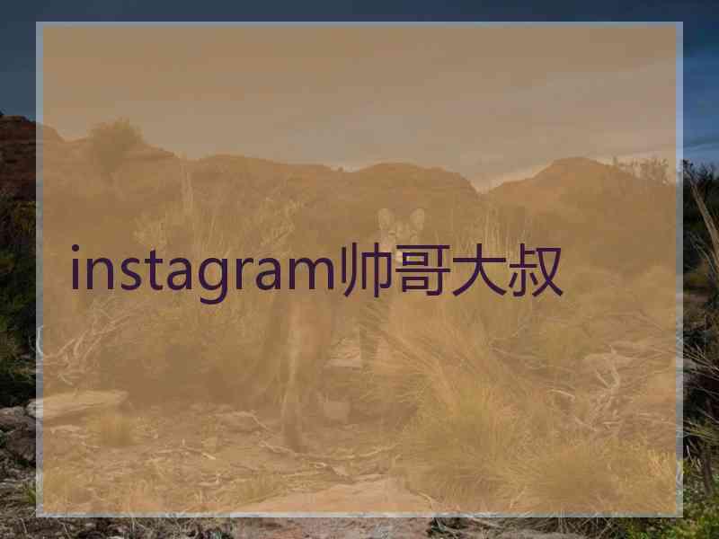 instagram帅哥大叔