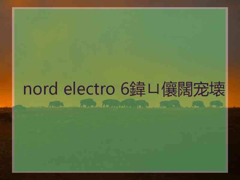 nord electro 6鍏ㄩ儴闊宠壊