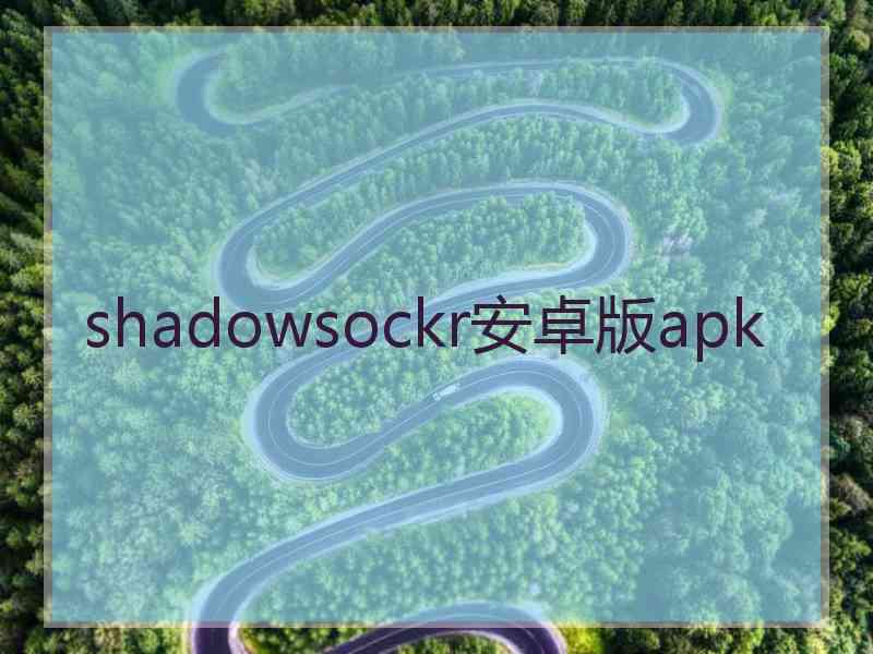 shadowsockr安卓版apk