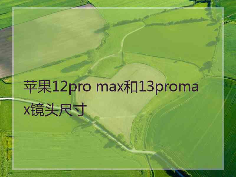 苹果12pro max和13promax镜头尺寸