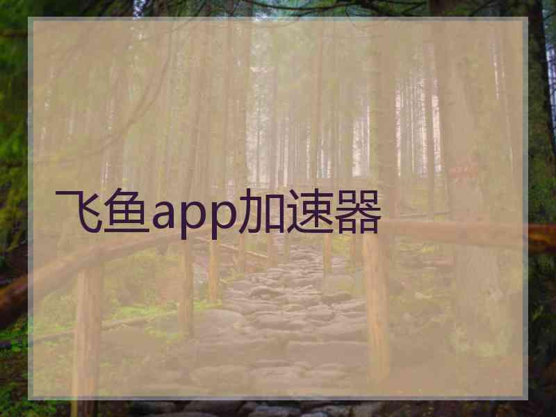 飞鱼app加速器