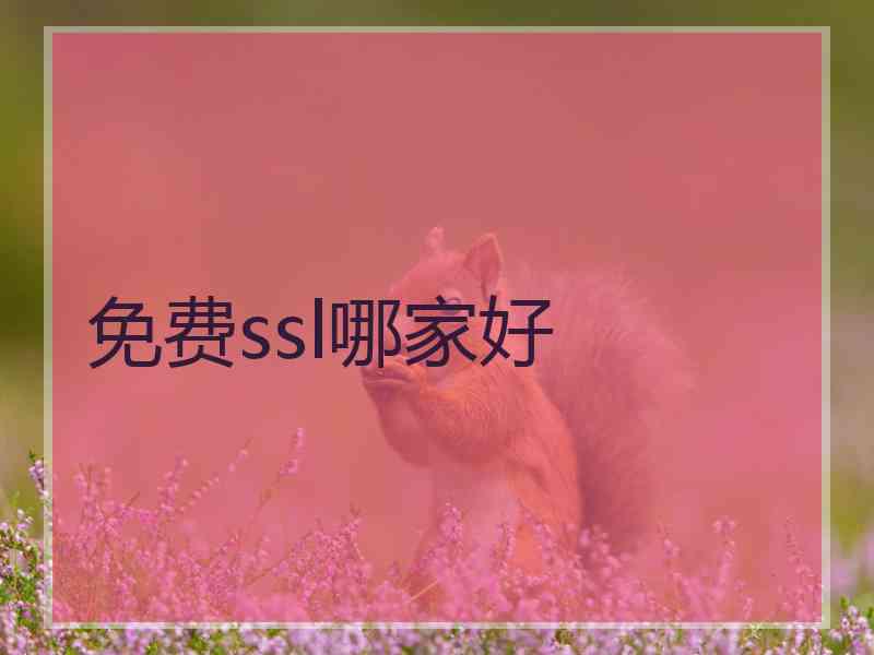 免费ssl哪家好