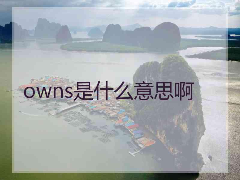 owns是什么意思啊