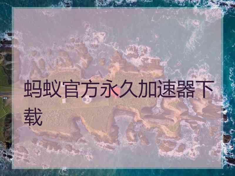 蚂蚁官方永久加速器下载