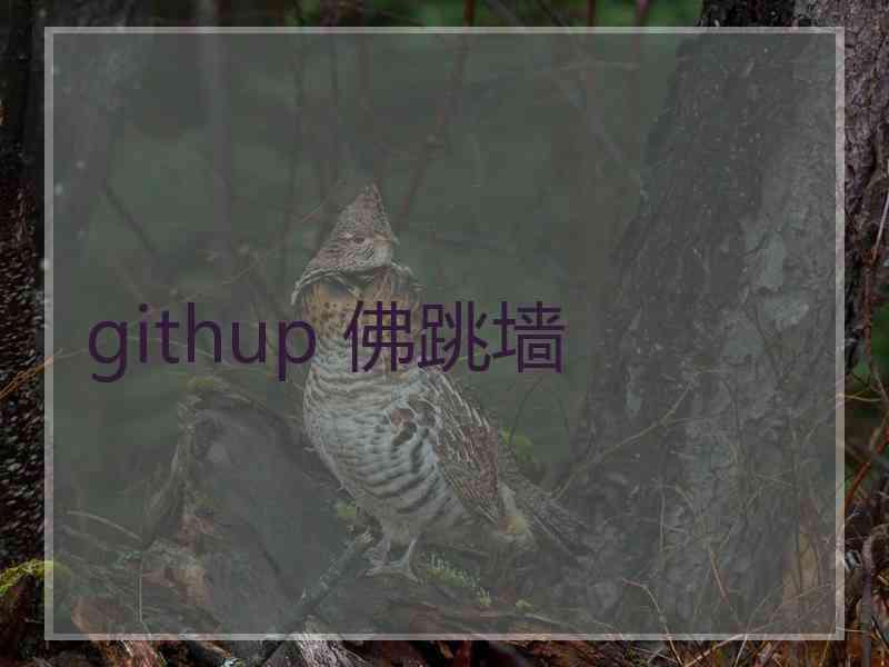 githup 佛跳墙