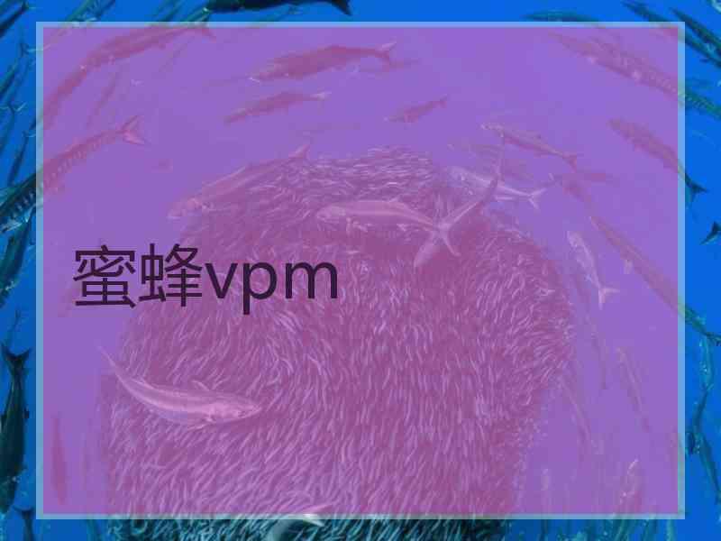 蜜蜂vpm