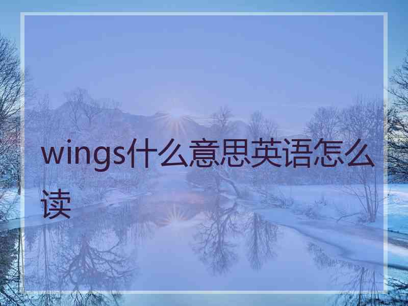 wings什么意思英语怎么读