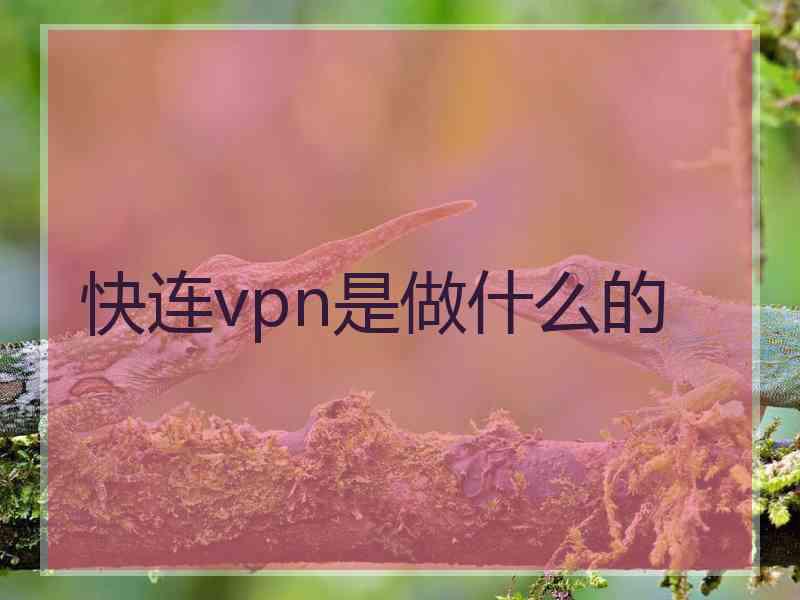 快连vpn是做什么的