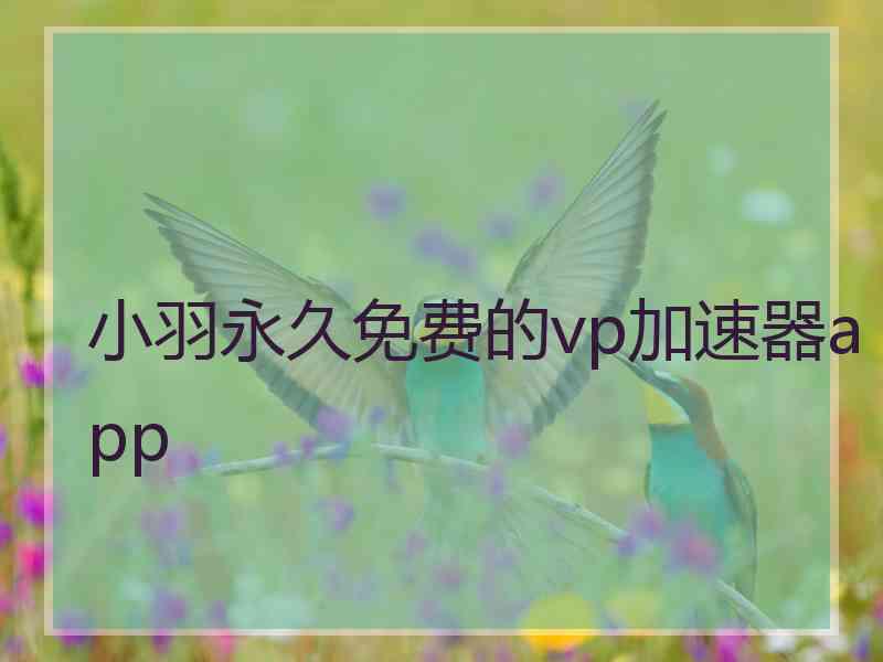 小羽永久免费的vp加速器app