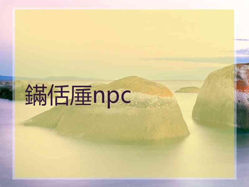 鏋佸厜npc