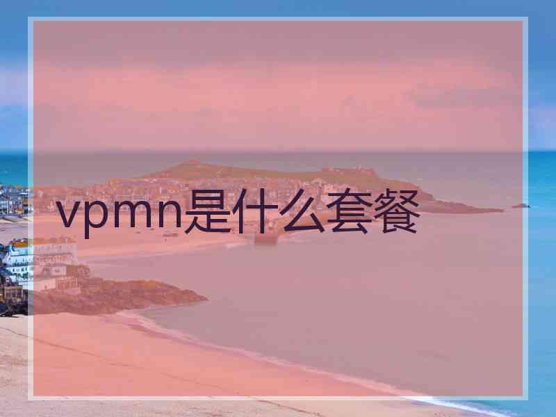 vpmn是什么套餐