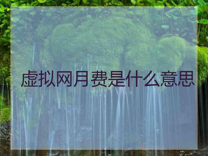 虚拟网月费是什么意思