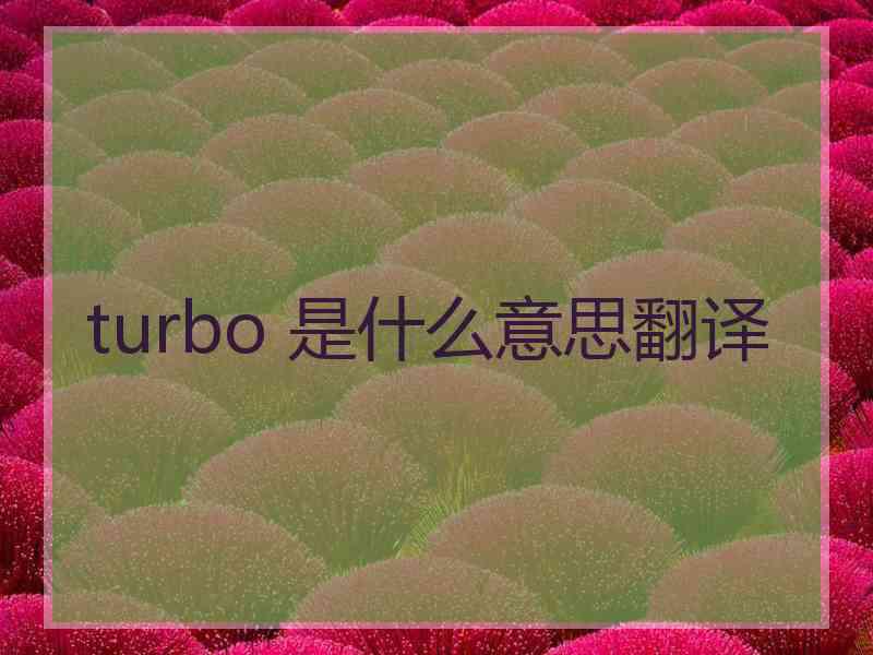 turbo 是什么意思翻译