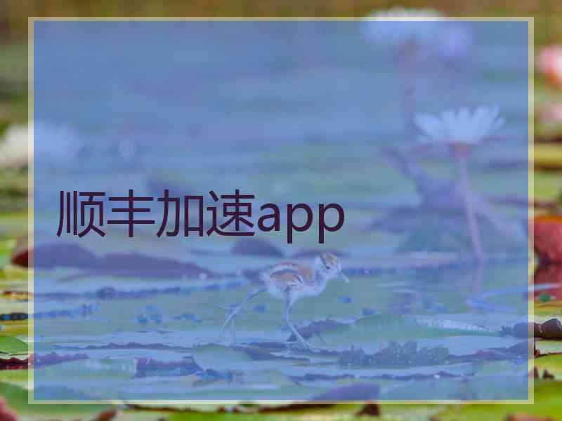 顺丰加速app