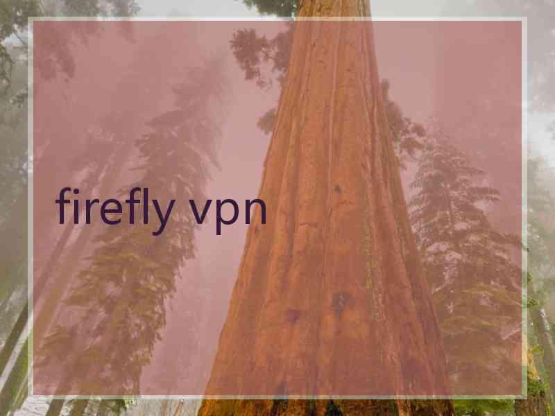 firefly vpn