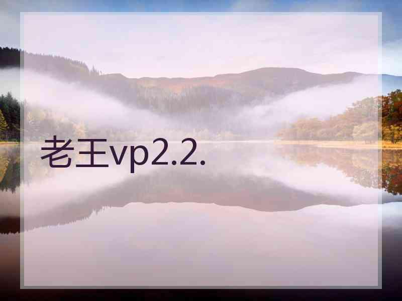 老王vp2.2.