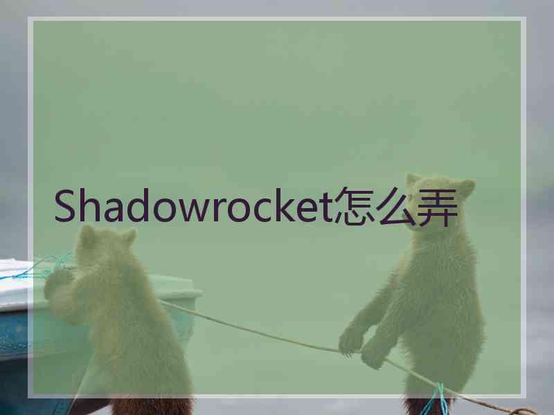 Shadowrocket怎么弄