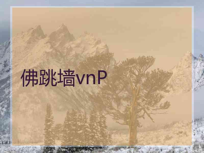 佛跳墙vnP