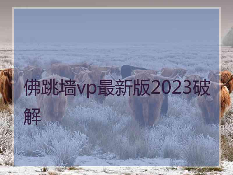 佛跳墙vp最新版2023破解