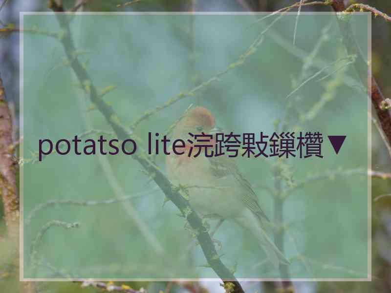 potatso lite浣跨敤鏁欑▼